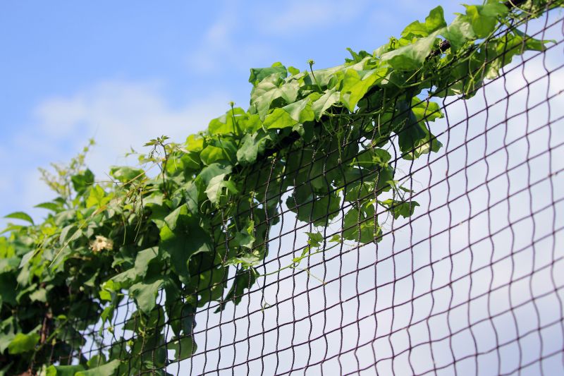 Follow-up Treatments