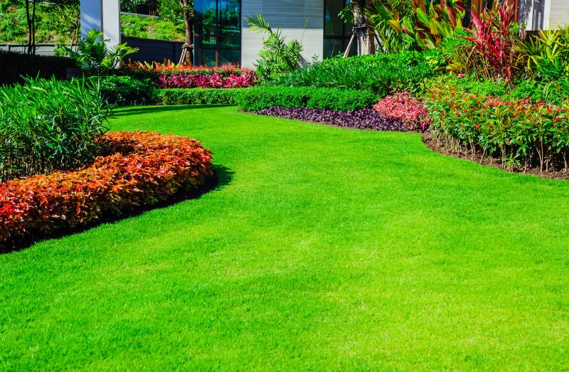 Vibrant Green Lawn
